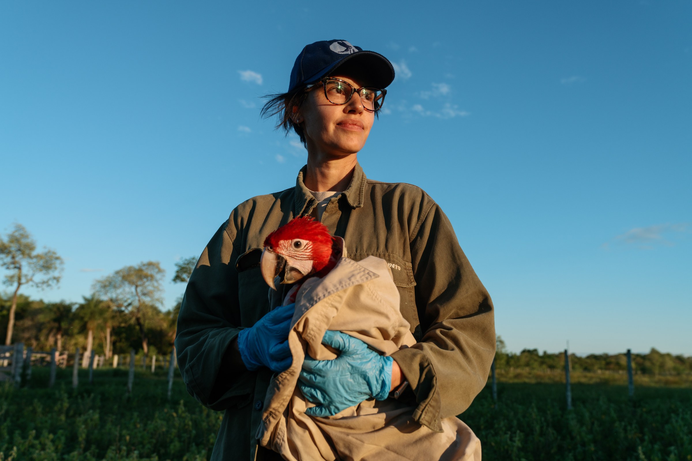 La veterinaria Diana Pésole, directora de la Asociación para la Conservación de…
